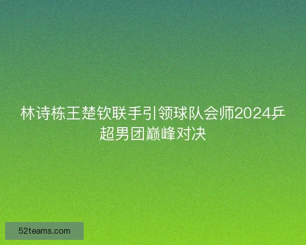 林诗栋王楚钦联手引领球队会师2024乒超男团巅峰对决